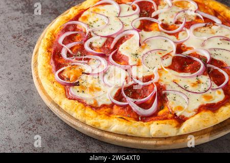 Pizza pugliese italiana condita con salsa di pomodoro, formaggio fuso e molta cipolla rossa da vicino su una tavola di legno sul tavolo. Orizzontale Foto Stock