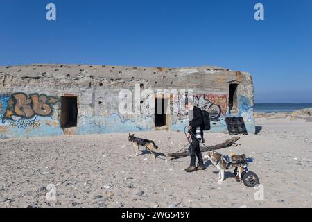 Walk the Dogs Foto Stock