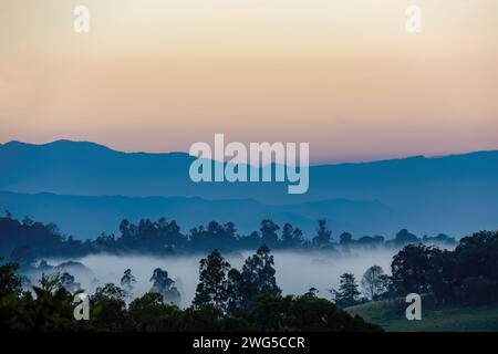 Bassa nebbia che galleggia sotto una foresta di montagna con un cielo rosa sullo sfondo, prima dell'alba, nelle Ande orientali della Colombia centrale. Foto Stock