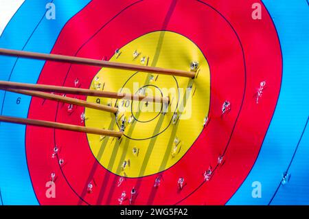 Molte frecce colpiscono il bersaglio del tiro con l'arco, occhio di bue. Foto Stock