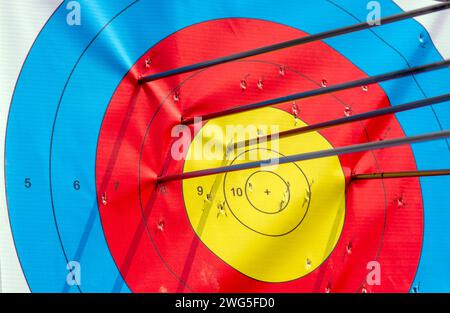 Molte frecce colpiscono il bersaglio del tiro con l'arco, occhio di bue. Foto Stock