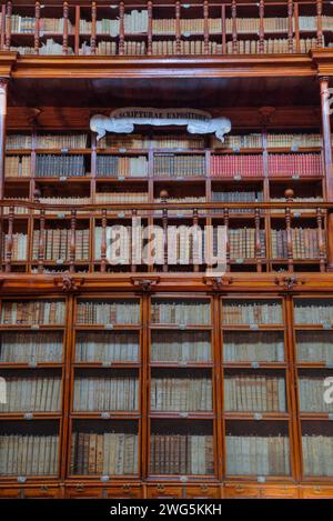 Biblioteca Palafoxiana, 1646, prima biblioteca dell'America Latina, sito patrimonio dell'umanità dell'UNESCO, centro storico, Puebla, Stato di Puebla, Messico Foto Stock