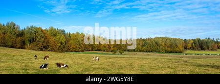 panorama paesaggio di ottobre - giornata di sole autunnale, splendidi alberi con foglie colorate, Polonia, Europa, Podlasie, un villaggio vicino alla foresta Foto Stock