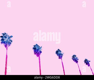 Fila di palme con un cielo rosa nel sud della California Foto Stock