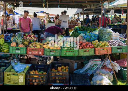 VILLA DE LEYVA, BOYACA, COLOMBIA - 06 gennaio 2024: Una stalla rustica con una varietà di frutta, nel tradizionale mercato della città coloniale. Foto Stock