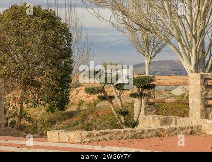 Cespuglio ben curato al confine di un'area giardino con colline sullo sfondo Foto Stock