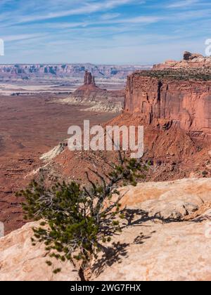 Stati Uniti. Utah. Parco nazionale delle Canyonlands. "Isle in the Sky" mesa: Vista sulla Torre dei candelieri. Questo punto si trova sul bordo della chiamata mesa Foto Stock