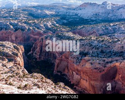 Stati Uniti. Stato dello Utah. Contea di Garfield. Paesaggio dalla Scenic Byway 12 tra Boulder ed Escalante. Foto Stock