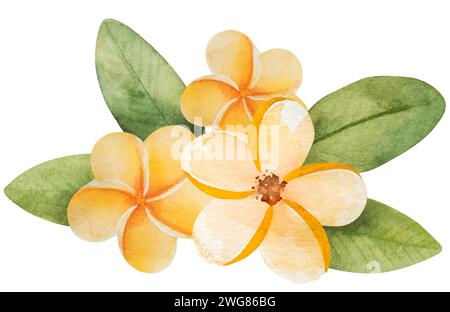 Immagine vettoriale disegnata a mano di Un'illustrazione di acquerello a tema estivo con fiori gialli tropicali e foglie Clipart su sfondo bianco Illustrazione Vettoriale