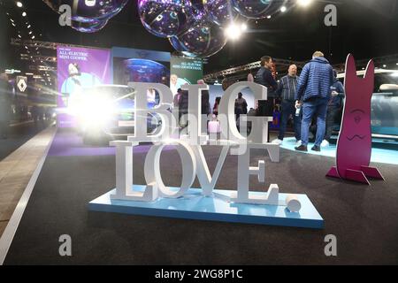 MINI Cooper se e MINI Countryman durante la proiezione stampa di venerdì durante la più grande fiera europea delle auto elettriche, eCarExpo, presso l'arena Friends di Stoccolma, Svezia. Foto Stock