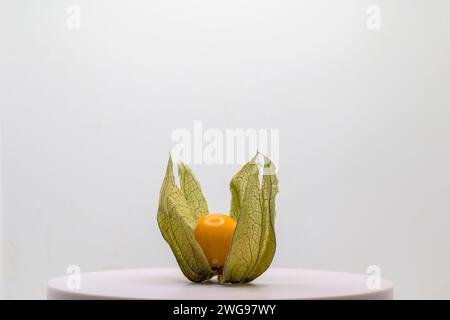 Foglie di physalis matura trasparenti arancioni e verdi su sfondo bianco orizzontale Foto Stock