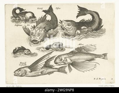 Fantastici animali acquatici, tra cui delfini e pitfish, Anonymous, dopo Nicolaes de Bruyn, 1581 - 1656 esemplari fantastici animali acquatici, iscrizioni in latino e olandese identificano delfini e pitfish, tra le altre cose. pesci per incisione su carta Foto Stock