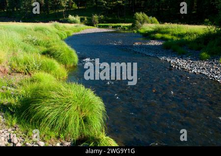 Forcella centrale John giorno fiume, Dunstan Homestead preservare, Oregon Foto Stock