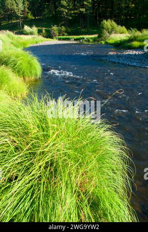 Forcella centrale John giorno fiume, Dunstan Homestead preservare, Oregon Foto Stock