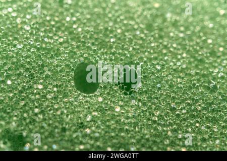 Sfondo con trama spugna verde, foto con elevata deatitura Foto Stock