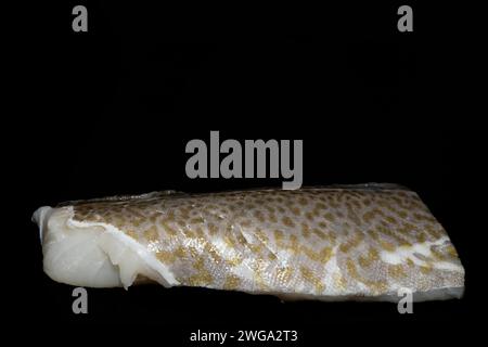 Filetto rifilato con pelle di merluzzo norvegese invernale, chiamato skrei, proviene dal Mare di Barents e catturato nelle Isole Lofoten, con cui fotografare il cibo Foto Stock