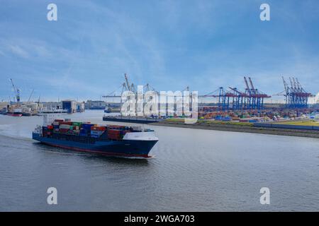 Porto di Amburgo con navi da carico e gru, Panorama, città anseatica di Amburgo, Germania Foto Stock