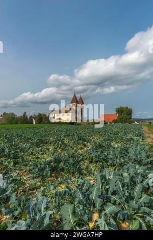 Chiesa Collegiata di San Pietro e Paolo, Niederzell, Isola di Reichenau, doppia torre, canonica, Kohlfeld, Lago di Costanza, Baden-Wuerttemberg, Germania Foto Stock