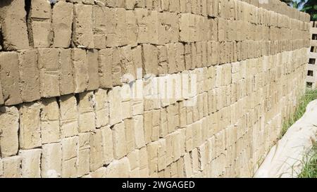 Mattoni tradizionali indonesiani crudi essiccati al sole Foto Stock