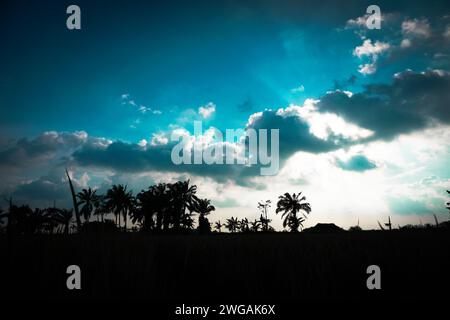 l'atmosfera dei terreni agricoli in campagna quando si avvicina la sera ma la luce del sole è ancora visibile Foto Stock