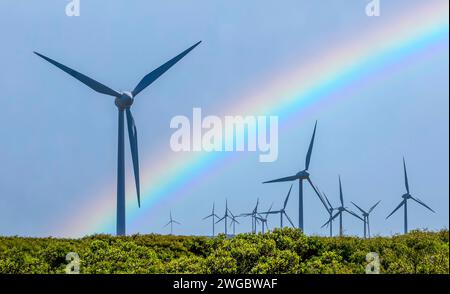 Rainbow Over Wind Turbines in un parco eolico costiero, Albany, Australia Occidentale, Australia Foto Stock