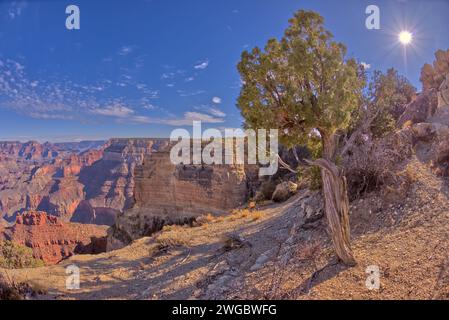 Vista orientale del Grand Canyon da Powell Point, Grand Canyon National Park, Arizona, Stati Uniti Foto Stock