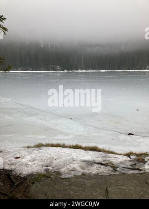 Un tranquillo paesaggio invernale caratterizzato da un lago ghiacciato circondato da alberi innevati Foto Stock