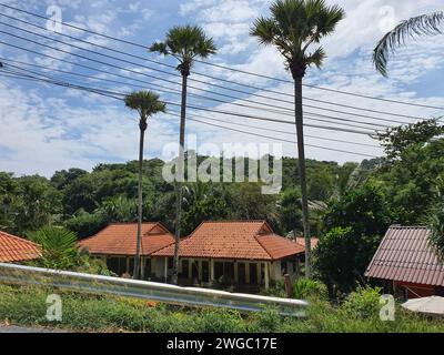 Thailandia, 10 gennaio 2024: Patong Beach Phuket Thailandia bella spiaggia di sabbia bianca acque blu e turchesi cristalline e bei cieli blu con palme Foto Stock