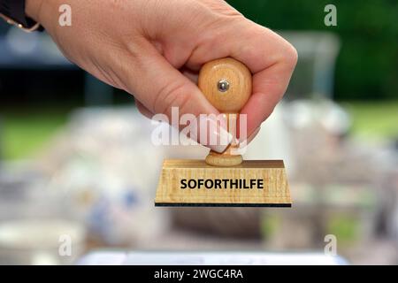 La mano di una donna tiene un timbro di legno con l'iscrizione: Aiuti di emergenza, aiuti di Stato, aiuti di ponte, aiuti alle imprese, strozzature, liquidi, gas e distretti Foto Stock
