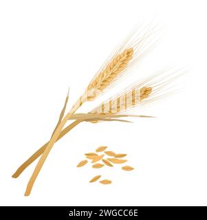 Mazzo di orzo con grana matura organica gialla, illustrazione vettoriale con foglie su gambi Illustrazione Vettoriale