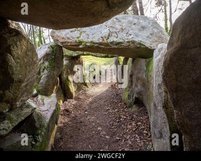Dolmen de Mané-Kerioned vicino a Carnac, Bretagna, Francia Foto Stock