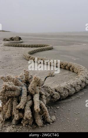 DATA DI REGISTRAZIONE NON INDICATA Langeoog Detailaufnahme, Seil, Meer, Strand, Nordsee, Deutschland, Niedersachsen, Langeoog, 02.02.2024 Ein langes Stueck Schiffs-Seil liegt am Ufer des Nordsestrand Detailaufnahme, Seil, Meer, Strand, Nordsee, Deutschland, Niedersachsen, Langeoog, *** Langeoog Close-up, Rope, mare, Spiaggia, Mare del Nord, Germania, bassa Sassonia, Langeoog, 02 02 2024 Un lungo pezzo di corda per navi giace sulla riva del Nordsestrand Close-up, Rope, Sea, Beach, North Sea, Germania, bassa Sassonia, Langeoog, Copyright: xEibner-Pressefoto/JuergenxAugstx EP JAT Foto Stock