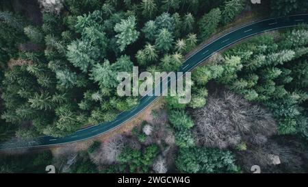 Incantevole serenità: Vista aerea della Winding Forest Road dall'alto Foto Stock