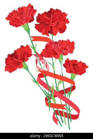 Bouquet di garofani rossi con nastri festivi su sfondo bianco. Fiori vettoriali per biglietti di auguri per San Valentino, festa della mamma. Un regalo per Illustrazione Vettoriale