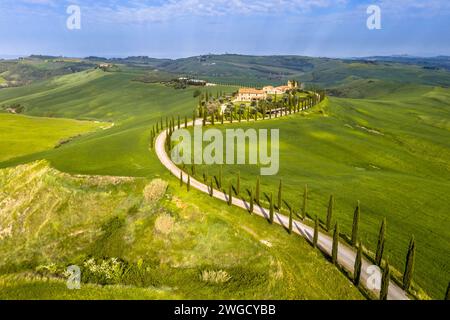 Veduta aerea di un filone di cipressi sulle colline della Toscana, aprile. Foto Stock