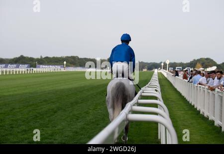 Ascot, Regno Unito. 8 settembre 2024. Hors2 guidato da un fantino si dirige sul circuito dell'ippodromo di Ascot per la Palmer & Co Champagne handicap al Friday Racing Meeting di settembre. Sakes ureen McLean/Alamy Foto Stock