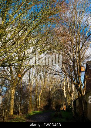 Terreno agricolo ai margini di Burnley con Pendle Hill sullo sfondo, questa vista dà un'idea di come fosse il Lancashire come la rivoluzione pre-industriale Foto Stock