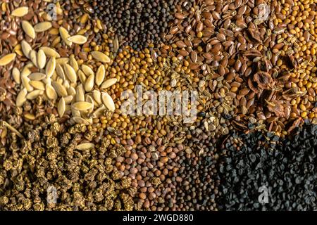 Assortimento di sementi per la piantagione e la coltivazione. Cipolla, barbabietola, porro, semi di rapa vista dall'alto Foto Stock