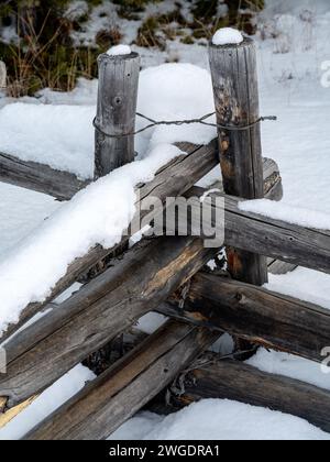 Spettacolo freddo su una recinzione di legno nella natura selvaggia Foto Stock
