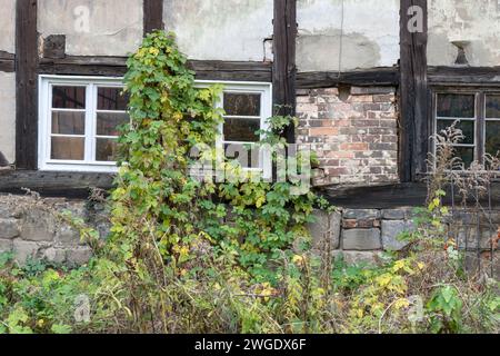 Dettaglio di una vecchia casa in legno fatiscente a Quedlinburg Foto Stock