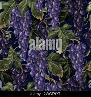 Modello senza cuciture con rami di uva blu. Vettore. Illustrazione Vettoriale