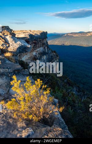 Una vista all'alba delle Blue Mountains attraverso la Jamison Valley fino a Mt Solitary, New South Wales, da Lincoln's Rock in Australia Foto Stock