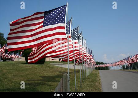 Memorial Day, bandiere americane che sventolano in un parco nel Missouri Foto Stock