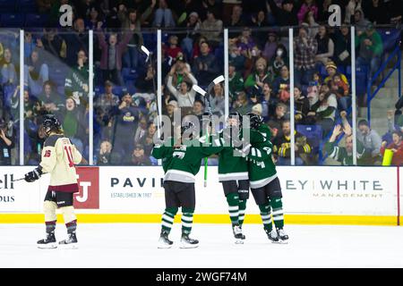 Tsongas Center. 4 febbraio 2024. Massachusetts, USA; i giocatori di Boston celebrano un gol pareggiante durante una partita della stagione regolare della PWHL tra Boston e Montreal al Tsongas Center. (c) Burt Granofsky/CSM/Alamy Live News Foto Stock