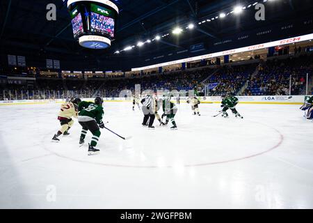 Centro Tsongas. 4 febbraio 2024. Massachusetts, USA; Montreal e Boston giocarono una partita di stagione regolare della PWHL al Tsongas Center. (c) Burt Granofsky/CSM/Alamy Live News Foto Stock