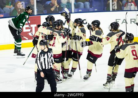 Centro Tsongas. 4 febbraio 2024. Massachusetts, Stati Uniti; i giocatori di Montreal celebrano una vittoria durante una partita di stagione regolare della PWHL tra Boston e Montreal al Tsongas Center. (c) Burt Granofsky/CSM/Alamy Live News Foto Stock