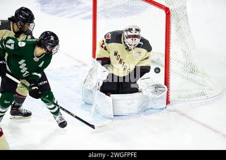 Centro Tsongas. 4 febbraio 2024. Massachusetts, USA; il portiere di Montreal Elaine Chuli (20) salta la partita durante una partita di stagione regolare della PWHL tra Boston e Montreal al Tsongas Center. (c) Burt Granofsky/CSM/Alamy Live News Foto Stock