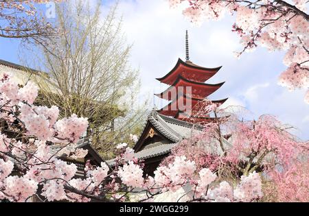 Pagoda Goju-no-to (pagoda a cinque piani), santuario Itsukushima. Stagione della fioritura di Sakura nell'isola di Miyajima, Hiroshima, Giappone. Hanami tradizionale giapponese f Foto Stock
