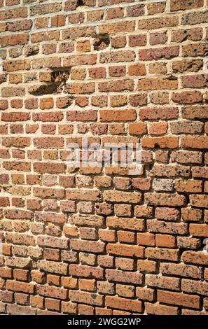 Un primo piano di un muro di mattoni eroso a Fort Sumter mostra mattoni ruvidi e irregolari in beige, arancione e marrone con punti scheggiati e ammaccati, South Carolina. Foto Stock