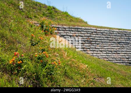 Fort Moultrie, piccole fortificazioni e bunker di munizioni che corrono lungo la costa di Sullivan's Island, South Carolina, USA Foto Stock